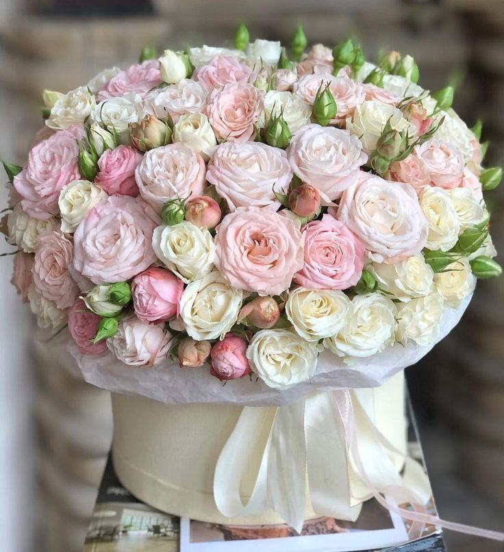 Enchanted Garden: Whimsy Petal Array