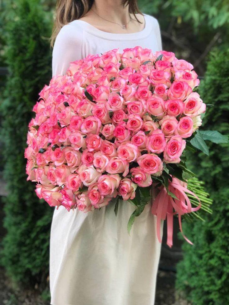 Whispers of the Meadow: Serene Blooms